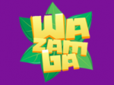 wazamba fi logo
